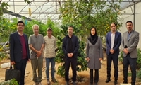 با هدف، حل چالش‌های کلان صنعت گلخانه صورت گرفت: تعدادی از پژوهشگران از گلخانه‌های کوهسار بازدید کردند