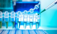 خدمات شناسایی میکروارگانیسم ­ها