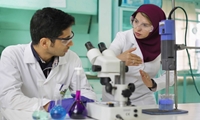 گالری تصاویر