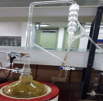 کلونجر