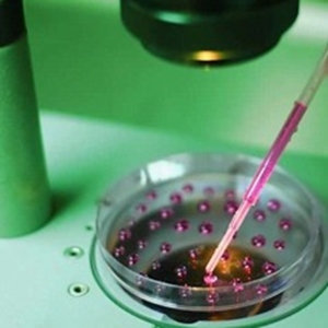 پژوهشگاه فناوری های نوین