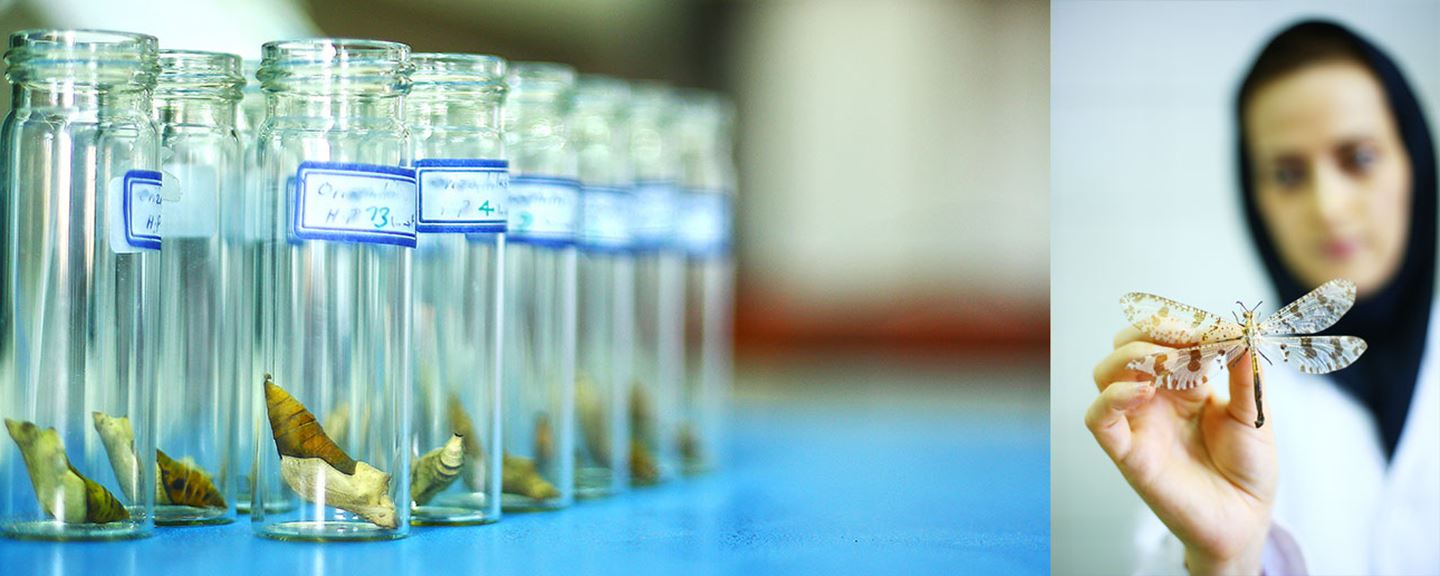 کنترل غیر شیمیایی آفات کشاورزی