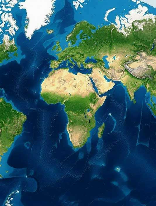 سازمان‌های بین المللی